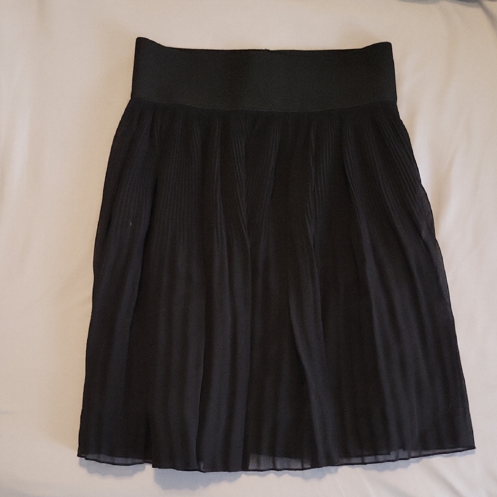 Zara Black A-Line Pleated Skirt